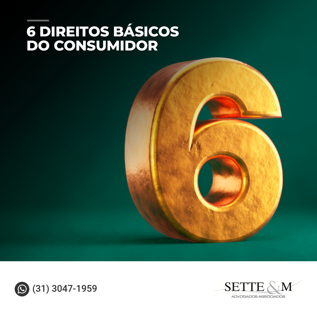 6 Direitos básicos do consumidor